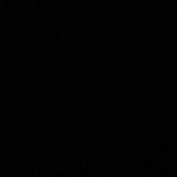 Meet your Posher, Rory - Picture 1 of 1